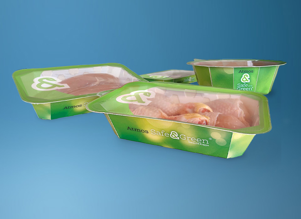 Vaschetta atmosfera protettiva ATMOS