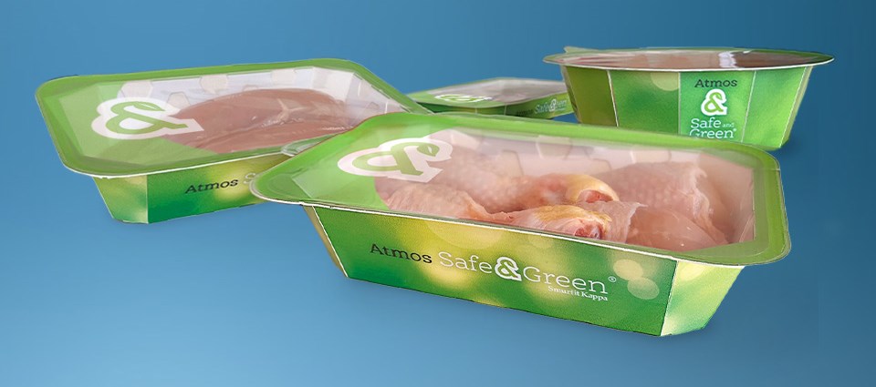 Vaschetta atmosfera protettiva ATMOS