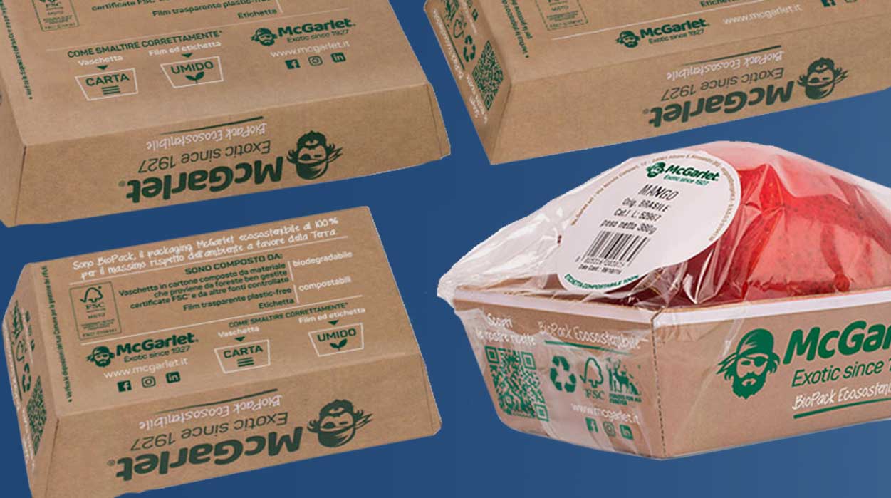 Vassoio McGarlet Smurfit Kappa SafeAndGreen