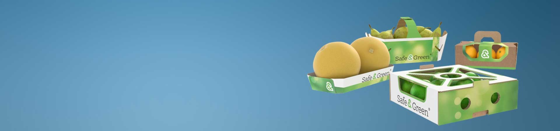 Vaschette per frutta a base carta