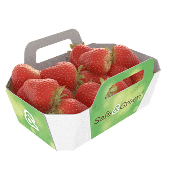 Vaschetta aperta per fragole