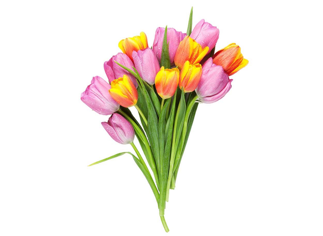 Imballaggi per fiori