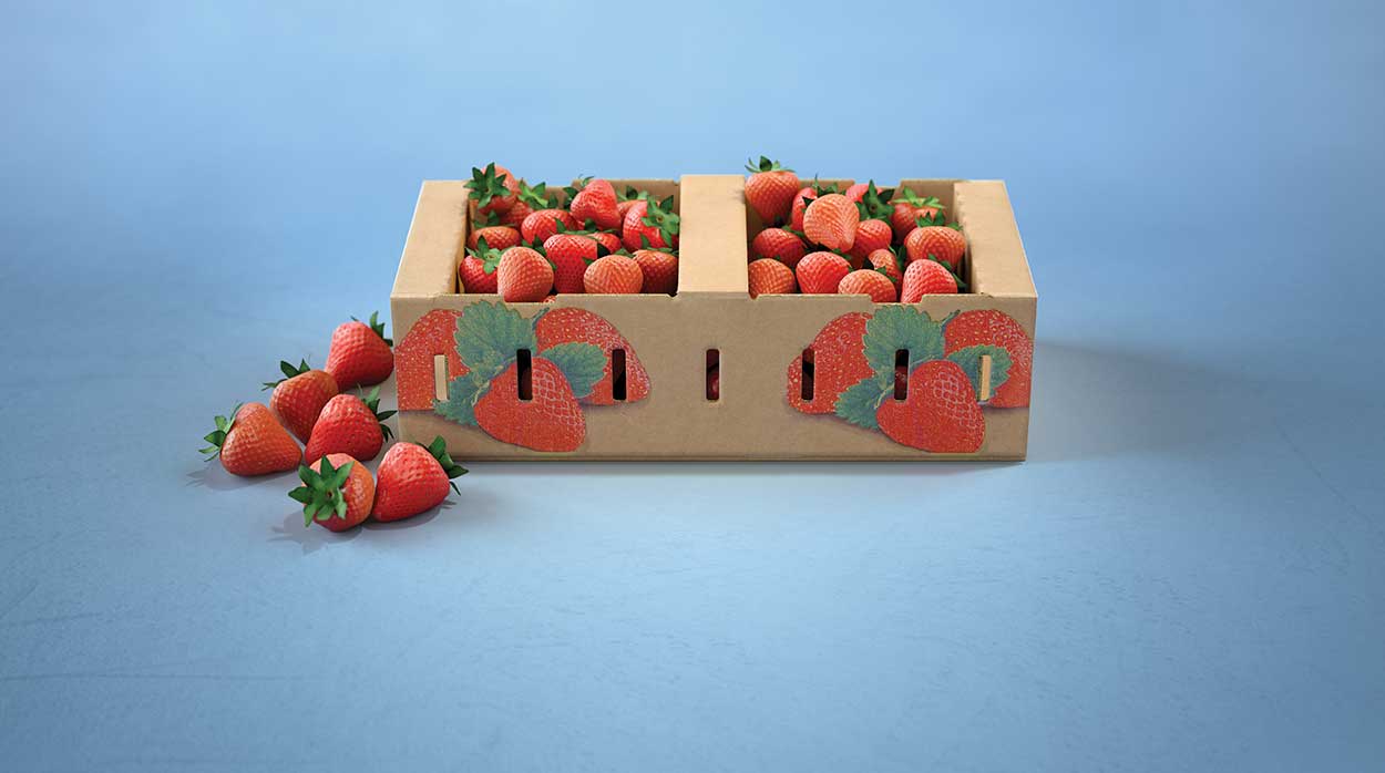 SoFroPack Success Story