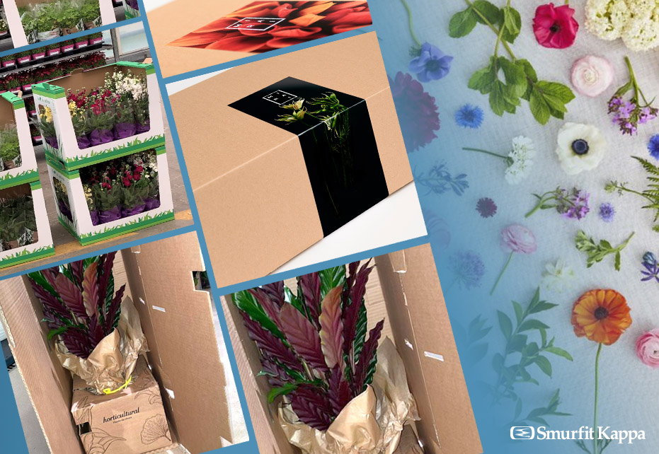 Da Smurfit Kappa Italia il packaging per fiori e piante