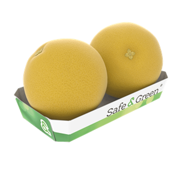 Barquette pour des melons ou des pomelos