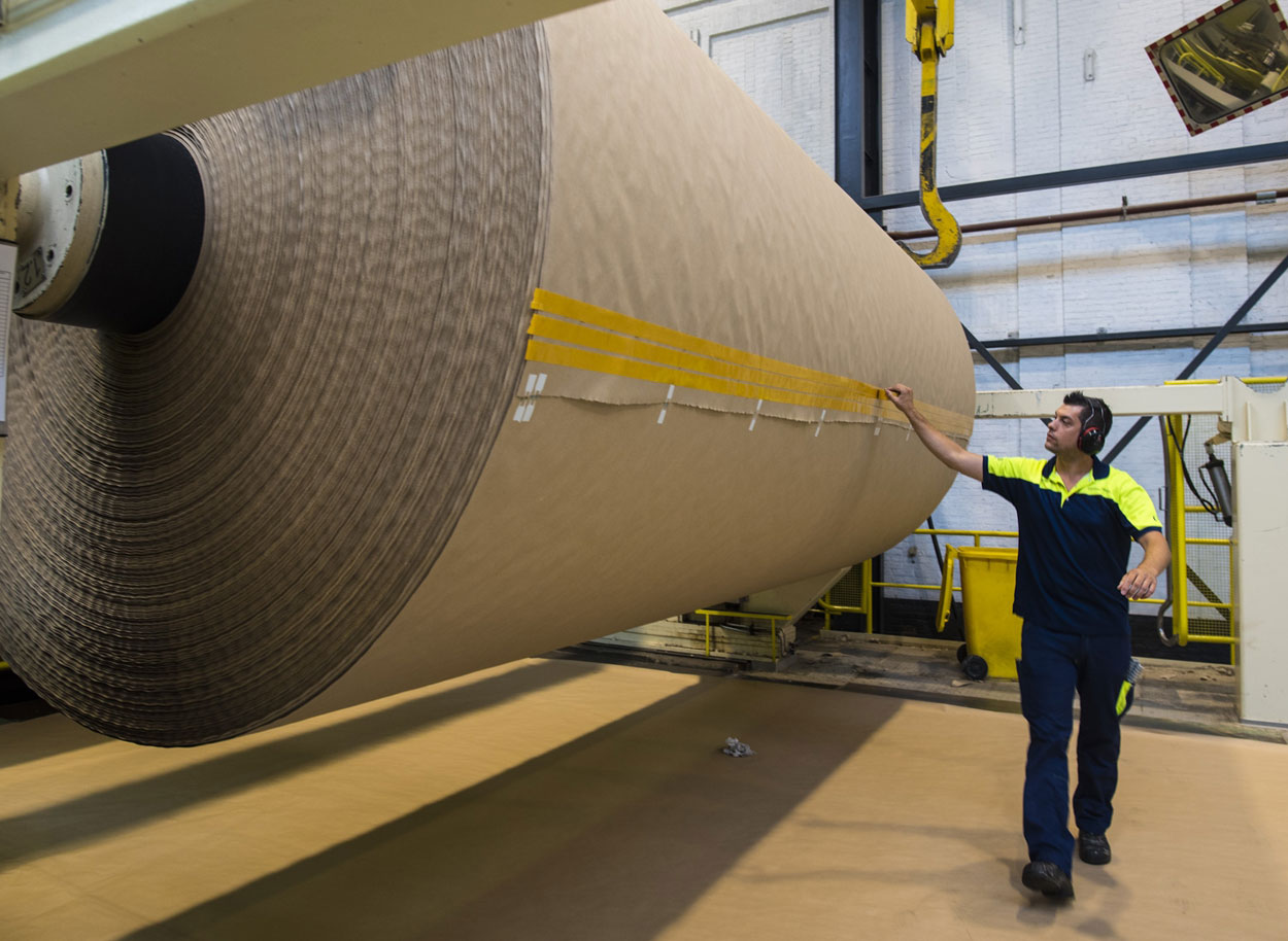 Gros rouleaux de carton ondulé 