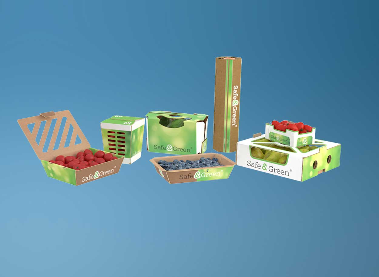 Kartonnen bakjes, Golfkartonnen bakjes, Fruit- en groentebakjes