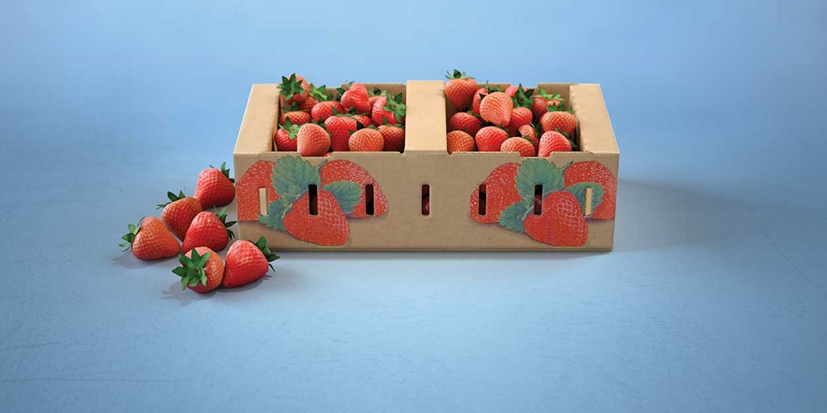 SoFroPack Success Story