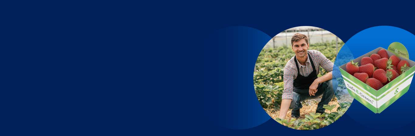 frukt emballasje, fruktkurver