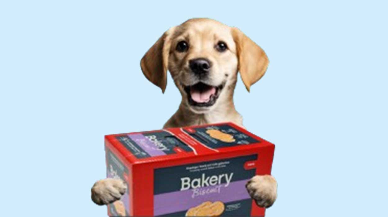 Mera - historia współpracy