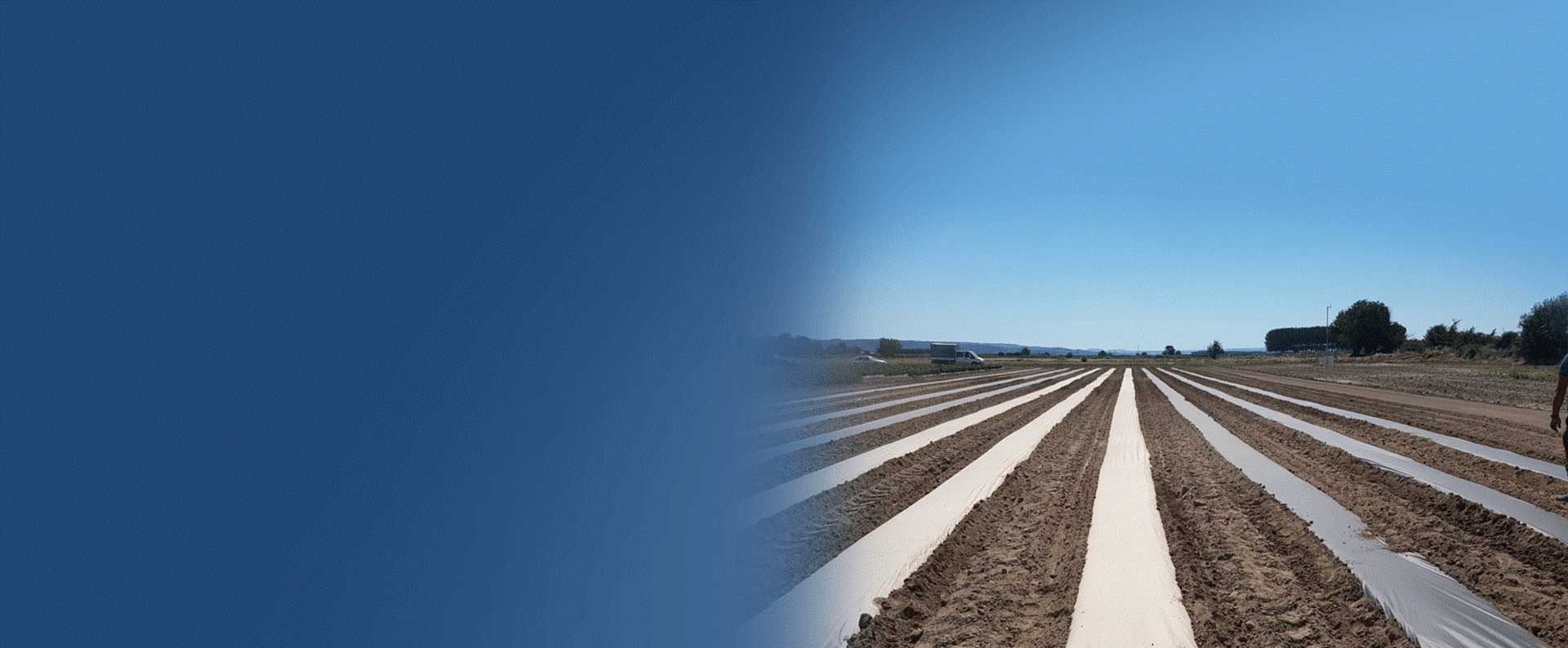  AgroPape zastępuje plastik