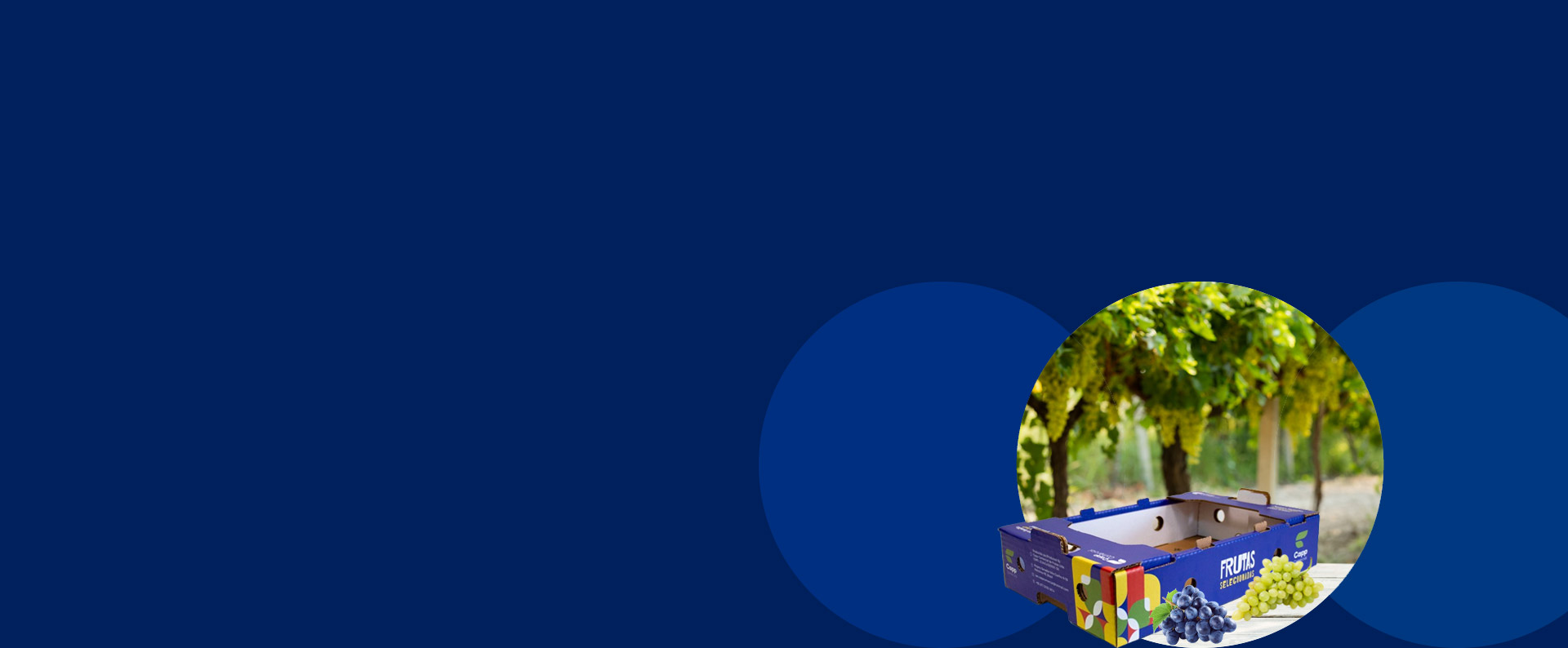 Cappellaro-case-study-banner