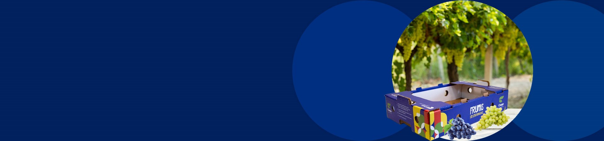 Cappellaro-case-study-banner