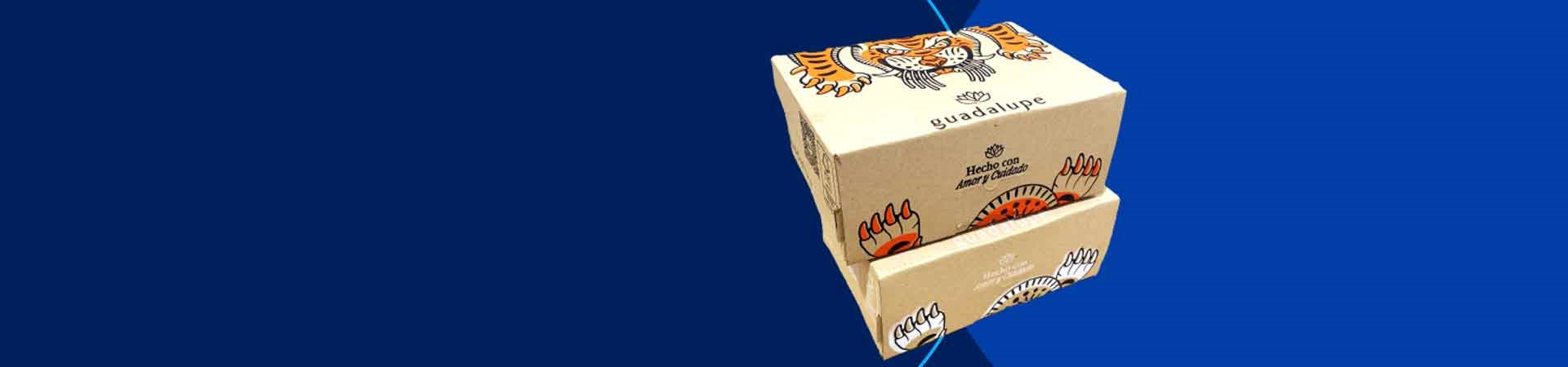 Banner_Guadalupe-Design