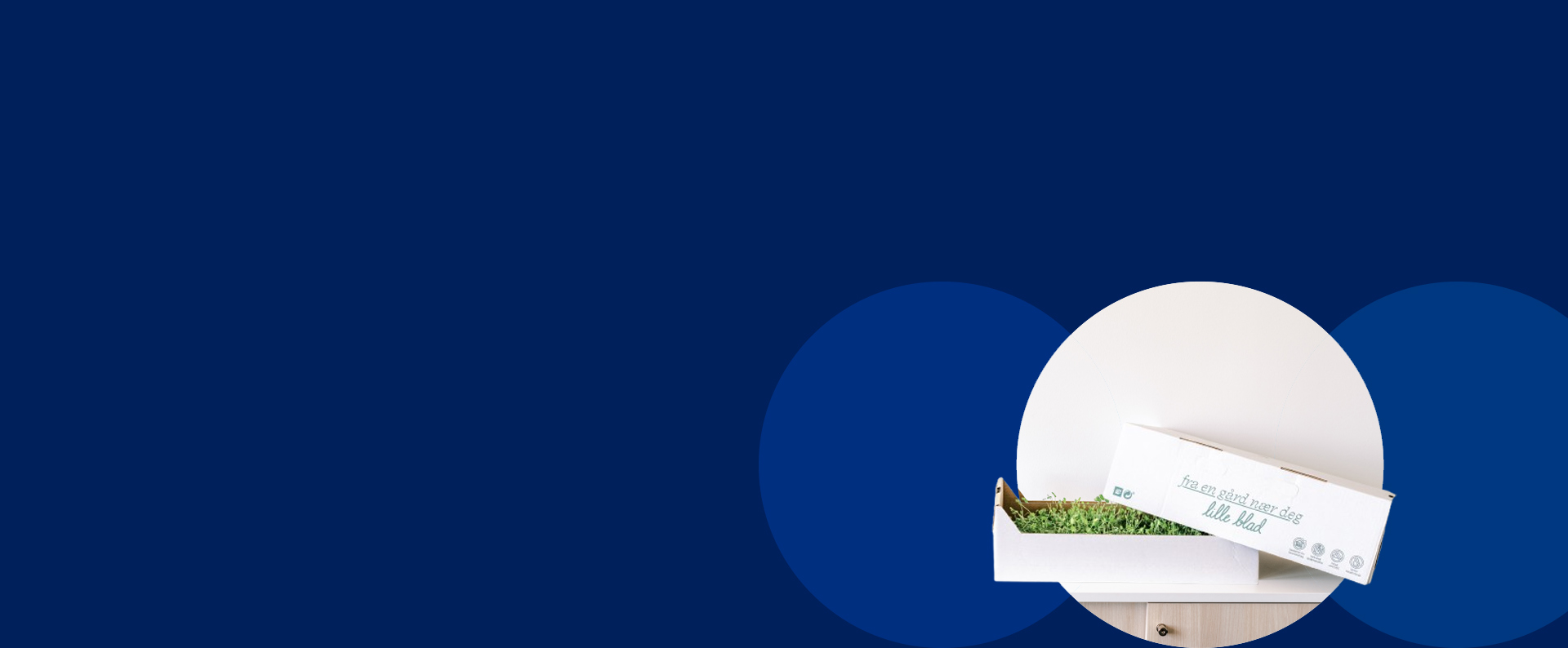 Lille-Blad - historia współpracy