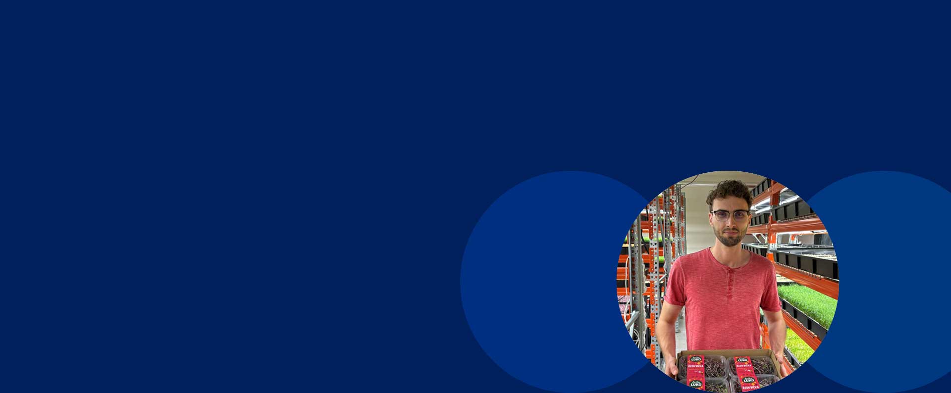 little Luko Case Study