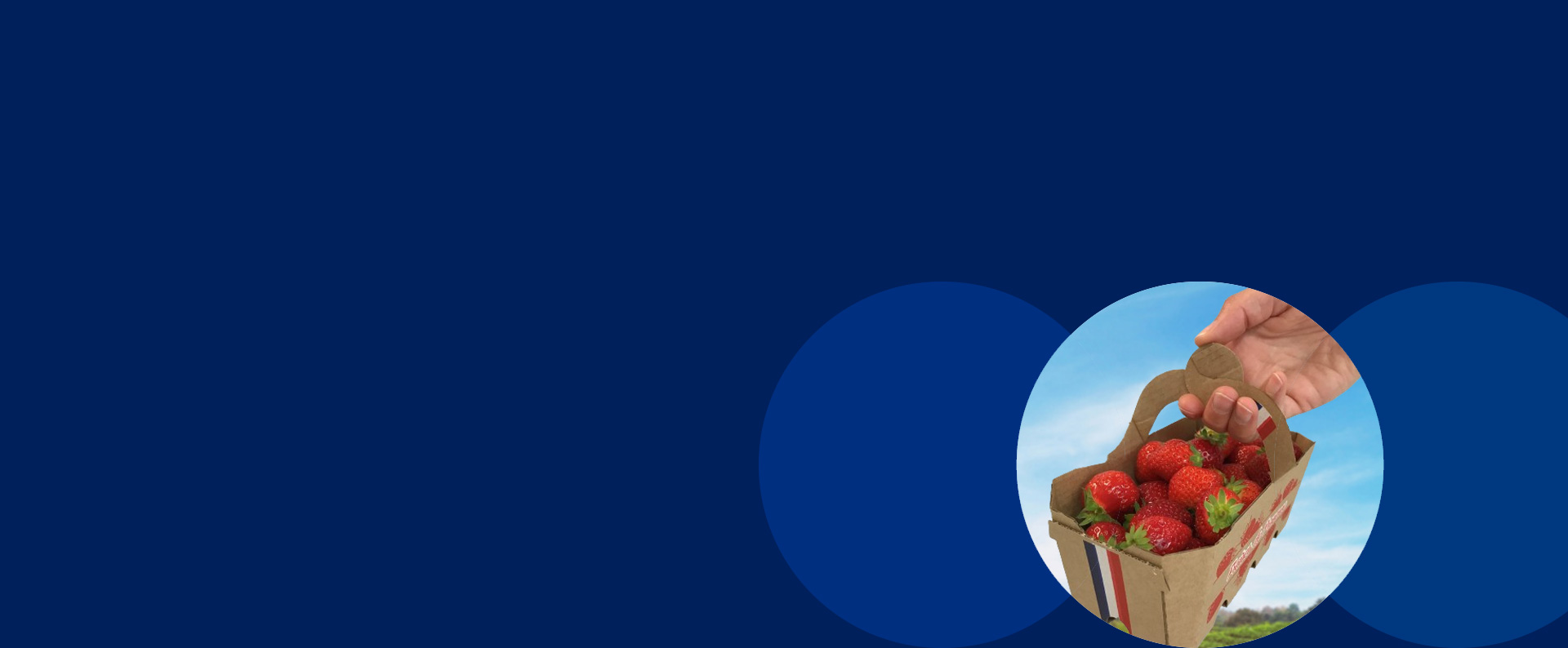 EARL-FRAISELINE-łubianki na owoce