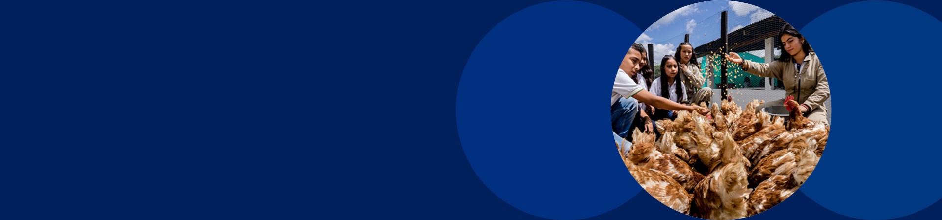 ITAF w Kolumbii - banner