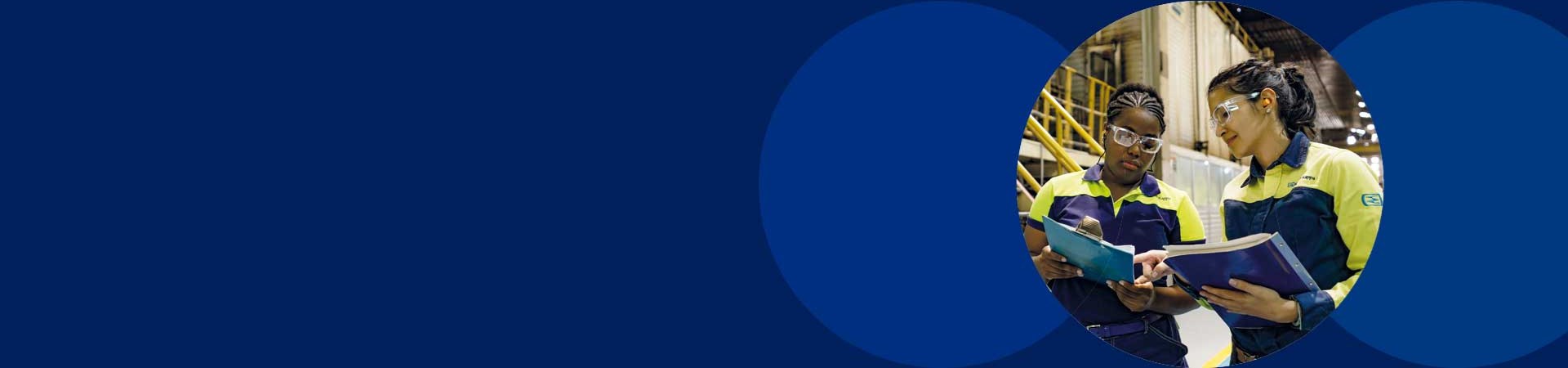 Program RISE - baner