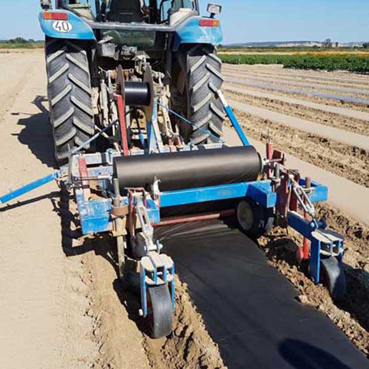 Papier rolniczy, papier do mulczowania