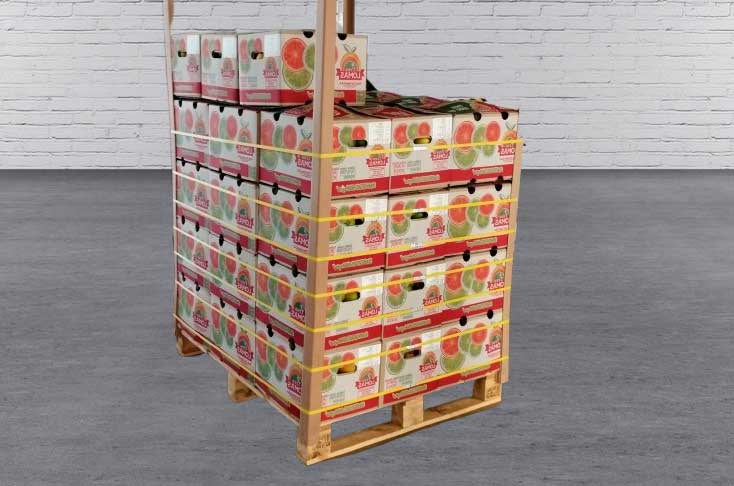 Delivering an end-to-end sustainable packaging solution for a distributor of citrus fruits