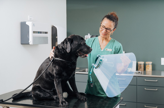 See how we developed a smart, space-saving packaging solution for Vetnordic’s cone-shaped pet collars