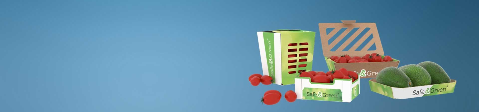 Punnets de cartão, punnets para legumes