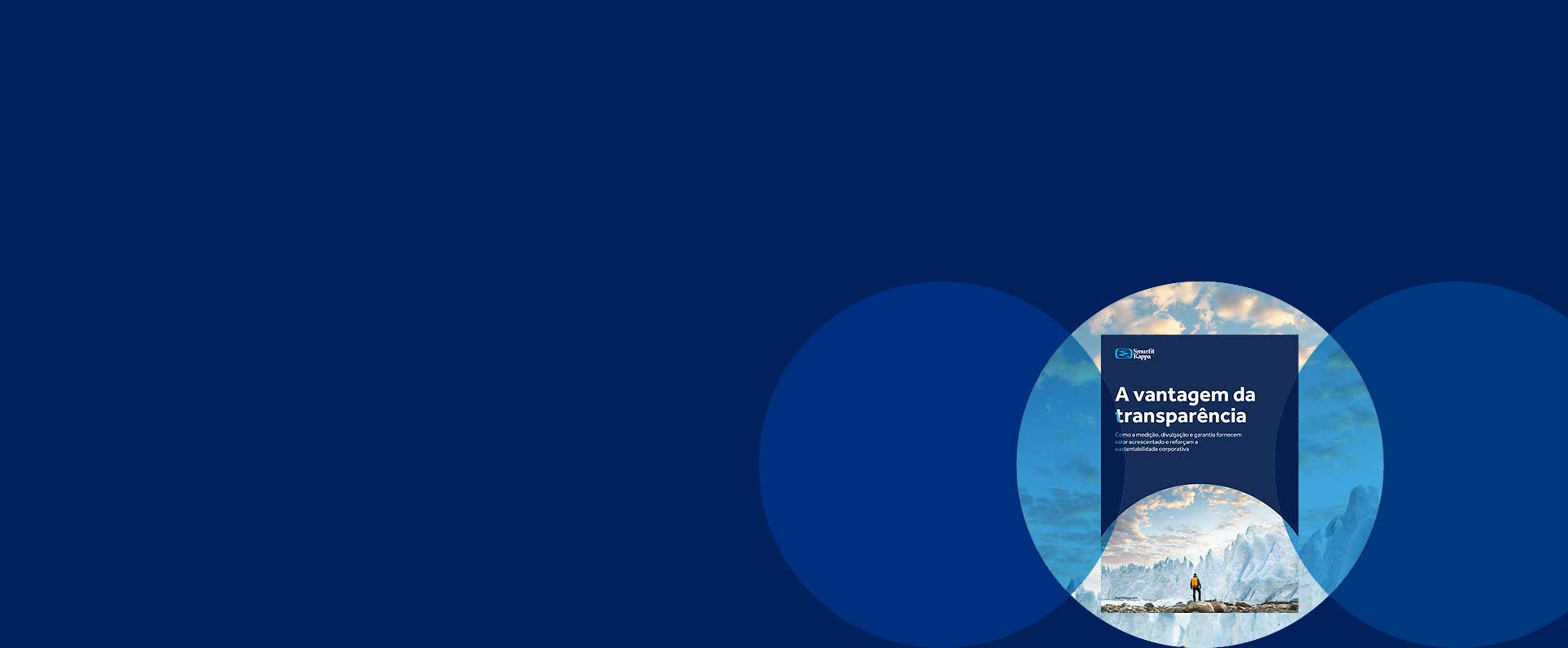 ´relatório de investigação 