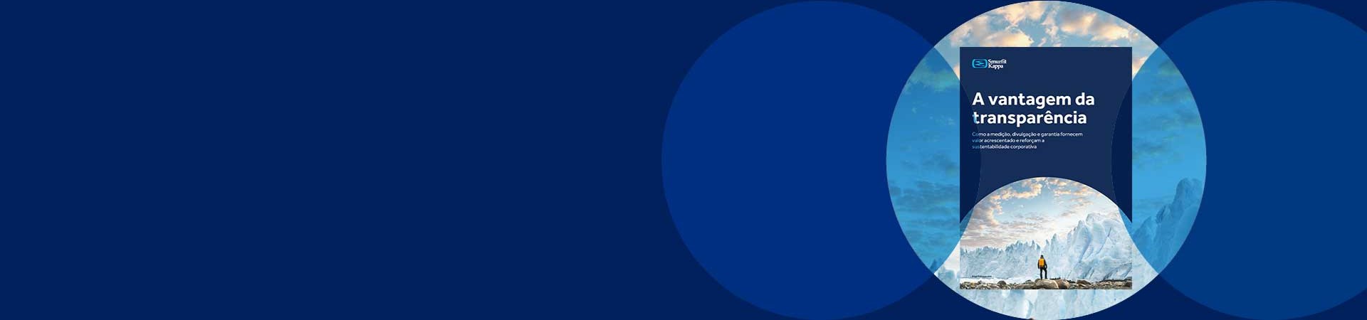 ´relatório de investigação