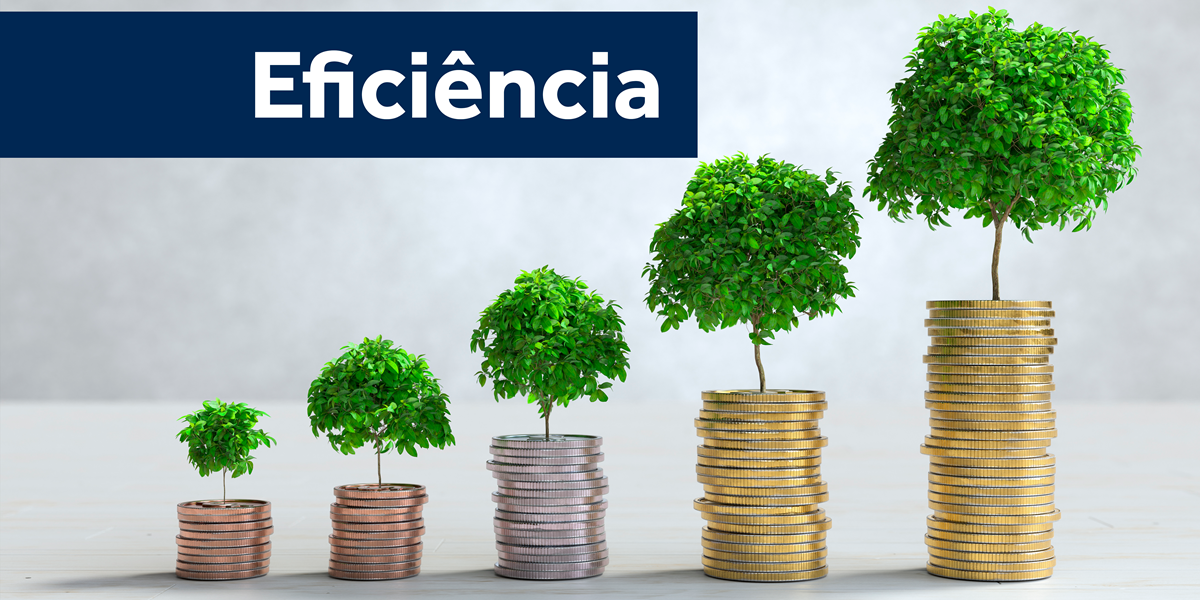 eficiencia