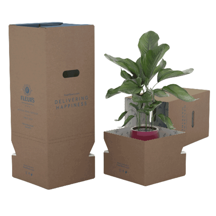 Beställ och hämta, blomförpackningar