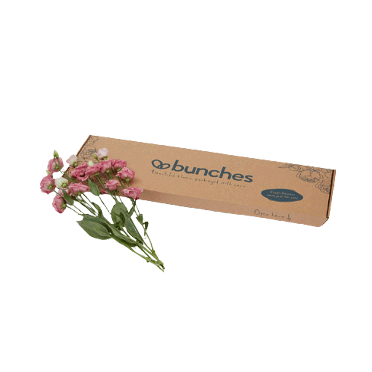 brevlådeförpackning för blommor