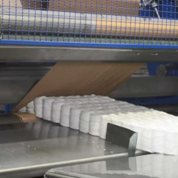 Nertop, Nertop Spring Roll