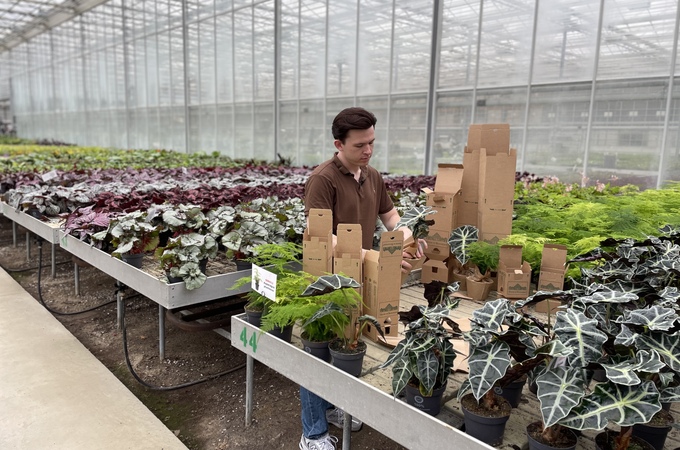 Se hur vår innovativa förpackningslösning hjälpte House of Botanique att revolutionera försäljning av plantor genom e-handel. 