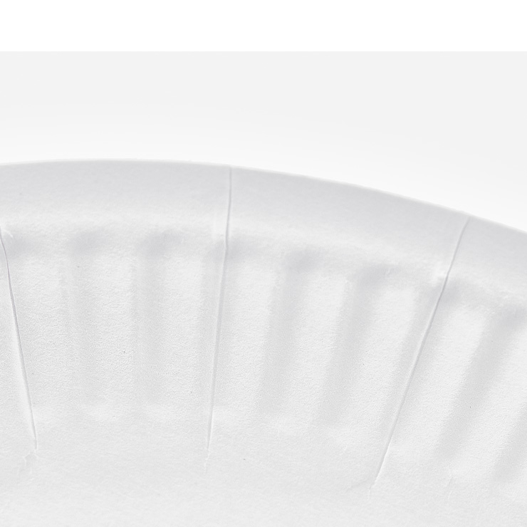 Plato grande reciclable blanco para alimentos