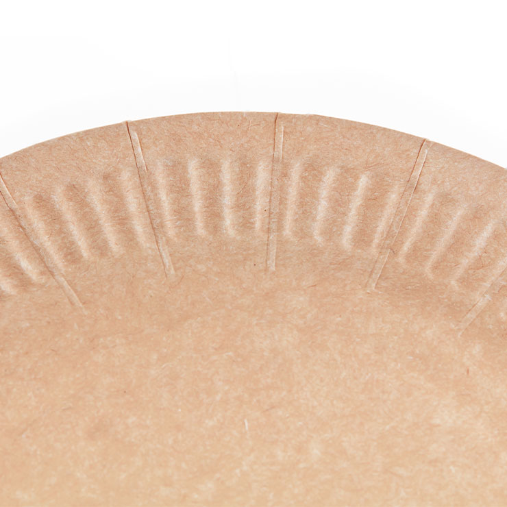 Plato grande reciclable kraft para alimentos