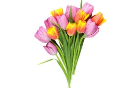 Empaque para Flores, Cajas para Flores