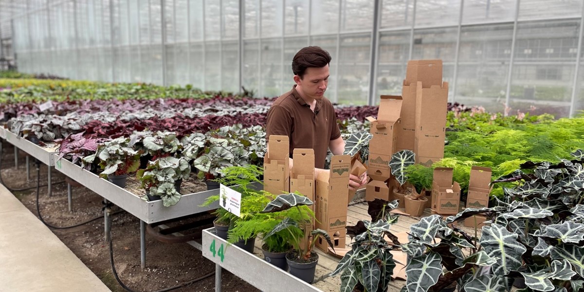 Packaging for plants