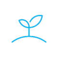 Carbon footprint