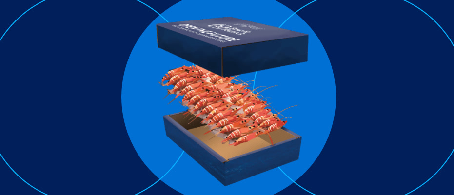 Best sea food packaging solution