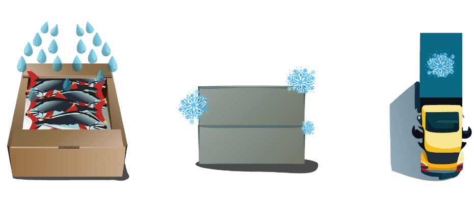 Salmon and shellfish shipping packaging