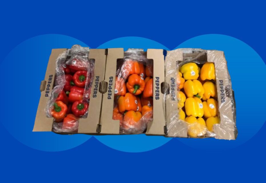 Clasifuit weather resistant packaging box