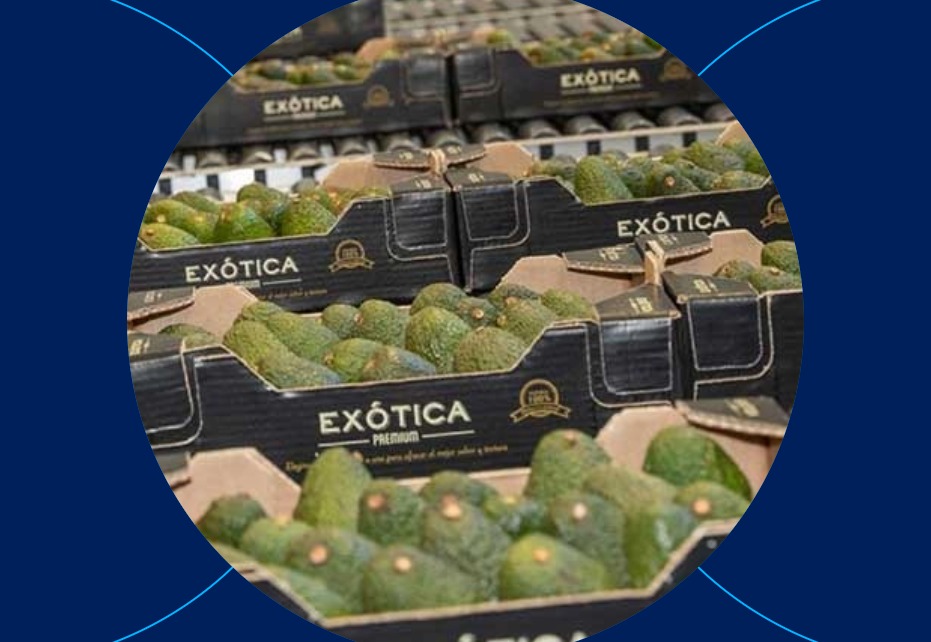 Helping Cultipalta reduces supply chain emissions by up to 32% through packaging and logistics optimization.