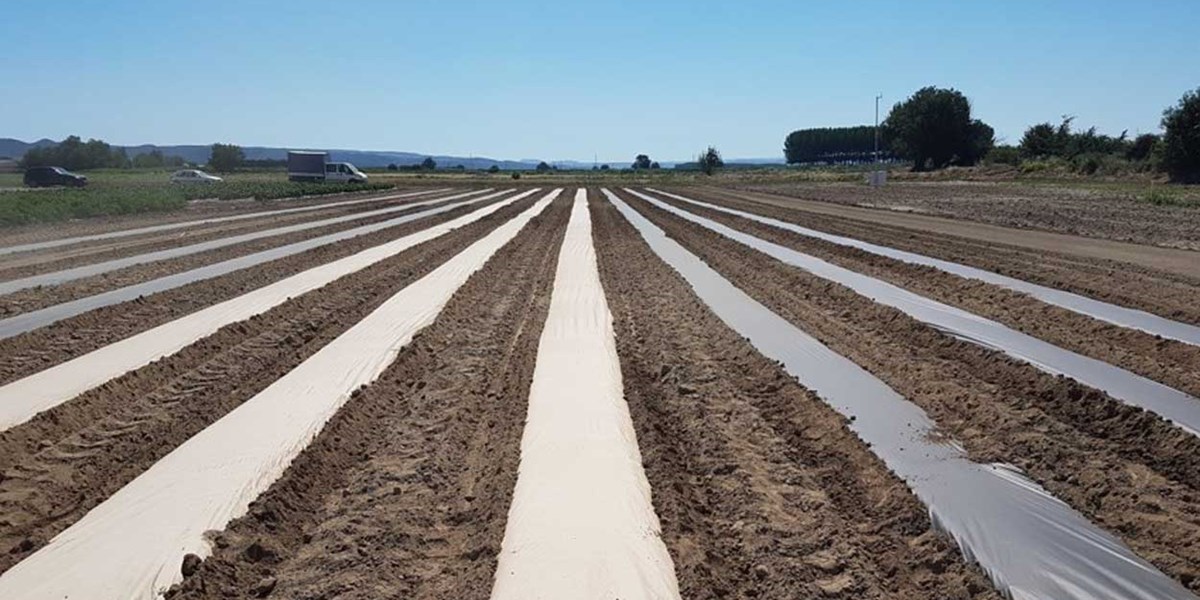 AgroPaper