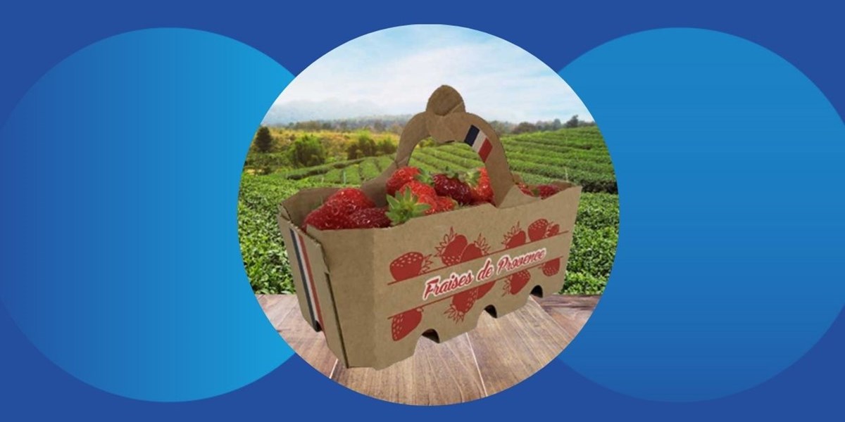Cardboard strawberry punnets
