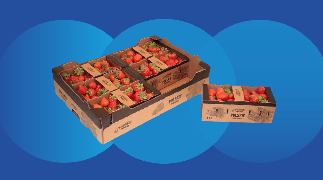 Cardboard tray and punnet