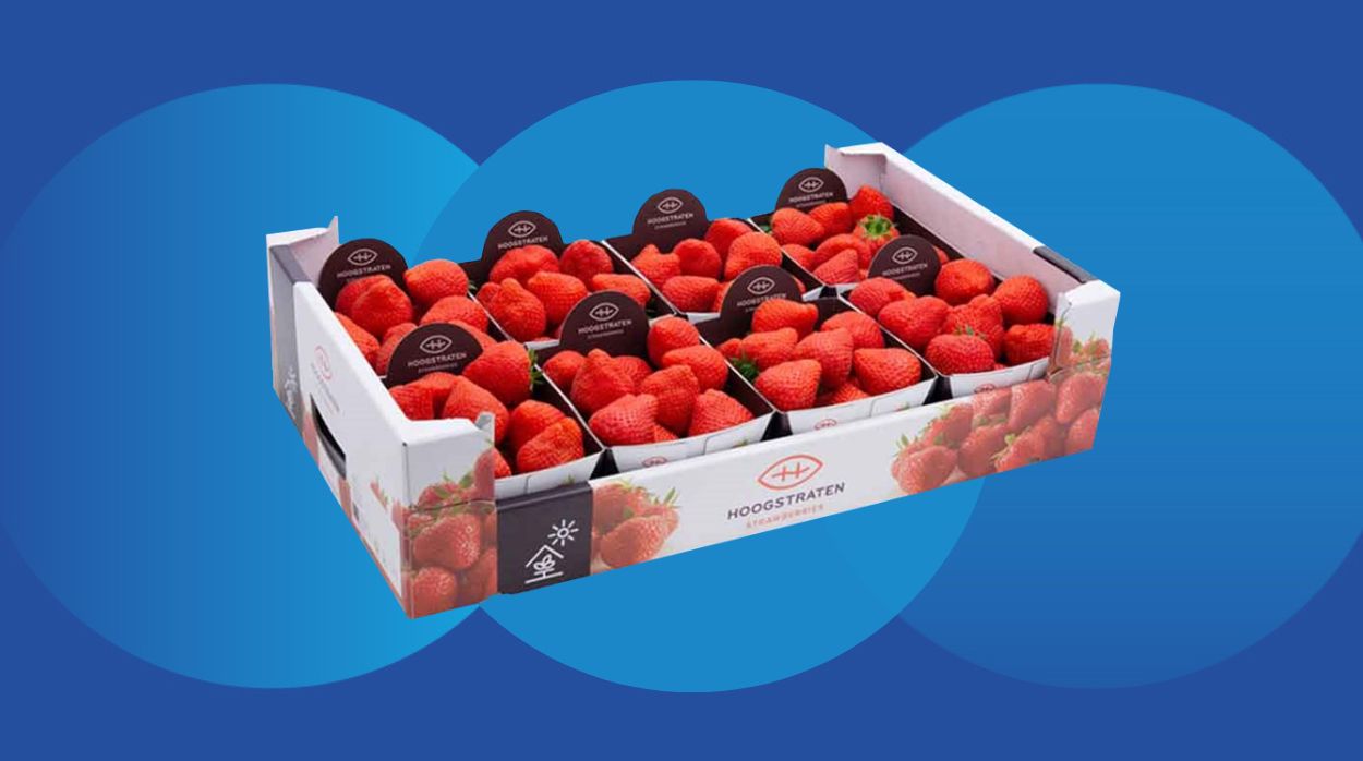 Strawberry punnet packaging