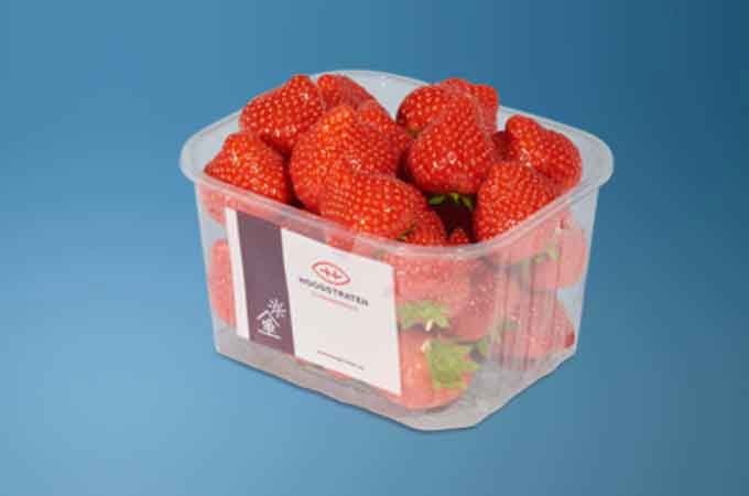 Plastic Punnet Alternative