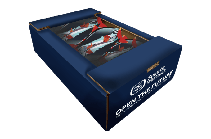 Salmon fish packaging