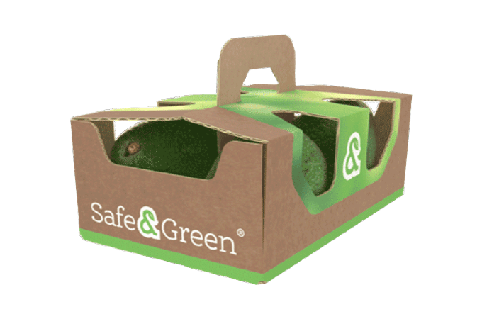 Sustainable punnets packaging